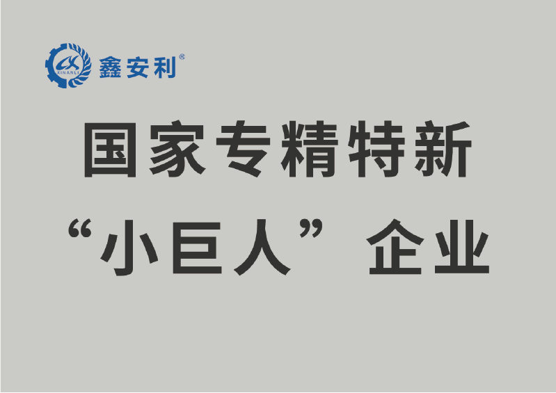 国家专精特新“小巨人”企业